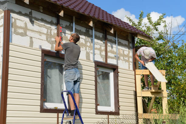 Best Siding Painting and Refinishing  in Central City, IL